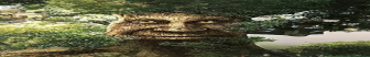 Hover text. Put description here.